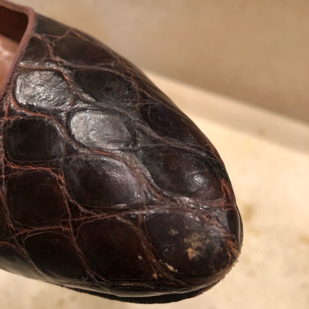 Crocodile Heals - image 4